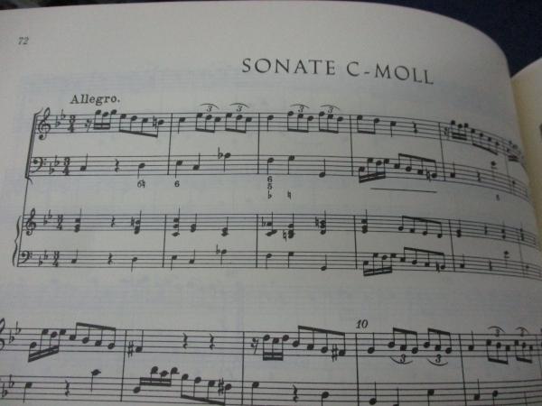 楽譜/リコーダー /テレマン teleman/12のメトーディッシェ・ゾナーテン/ ベーレンライター原典版 39/大きさ縦約30cm×横約