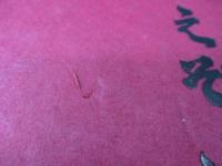 えぞがしま/復刊　限定250部/川上澄生