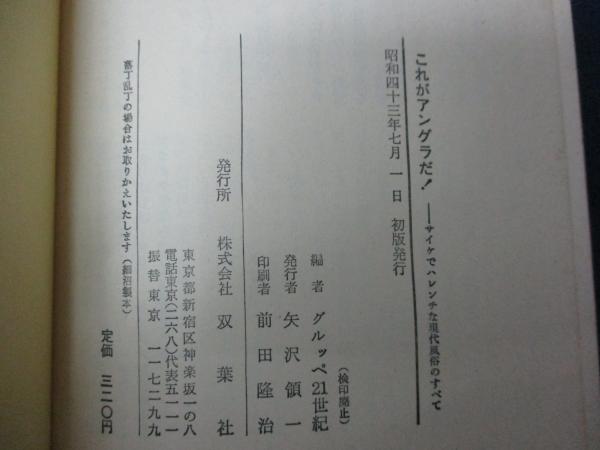 これがアングラだ! サイケでハレンチな現代風俗のすべて これがアングラだ! サイケでハレンチな現代風俗のすべて
