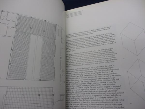 洋書/英文/ジュゼッペ・テラーニ/変換、分解、批評/Giuseppe