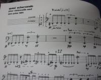 輸入楽譜/チェロ譜/ジルベール・アミ/Quasi Scherzando pour violoncelle/UNIVEASAL EDITION/8P/大きさ縦約30cm×横約23cm
