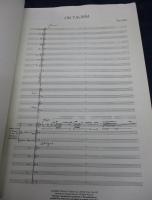 輸入楽譜/総譜/譚盾/Tan　Dun/ON TAOISM/タオイズム/Schimer/27P/大きさ縦約41cm×横約28cm
