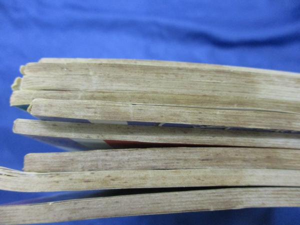 バイエル手芸教則本 全9巻揃 イルゼ・ブラッシ 監修 / 古本、中古本