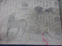 教育　動物画解