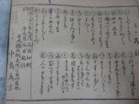 教育　動物画解