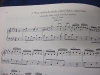 洋楽譜/独・英文/バッハ/アリア・ブック　テノール/BACH/THE ARIA BOOK TENORE/