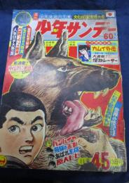 少年サンデー1966年45号/怪物レーサー/タイムマシン　戦艦大和　小松崎茂　画/山鬼　水木しげる/プロレス速報　五人の悪魔　梶原一騎文/

