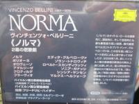 未開封/2DVD/グルべローヴァ/ハイダー / ベッリーニ 歌劇《ノルマ》/日本語字幕有