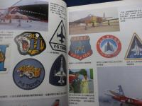 洋書/中文/中国之翼特集/飛行戦彩/空軍的塗装興徴誌