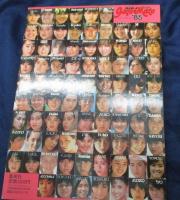 週刊プレイボーイ特別編集 GALSMATE☆85 ギャルズメイト ベスト・セレクション　岡田有希子 / 小泉今日子 / 早見優 /
