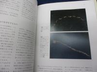 タシロニンフの世界   水中からフライフィッシングを考える