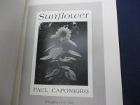 SUNFLOWER　ポール・カポニグロ　写真集
