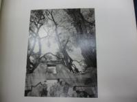 Singular images/アンセル・アダムス　写真集