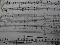 輸入楽譜/仏語/歌曲/ファウストの劫罰 ベルリオーズ / Berlioz /La damnation de Faust/SERENISSIMA MUSIC/306P/大きさ縦約25cm×横約17cm/書き込み多数有
