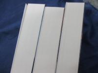 文庫　火の柱　上中下揃