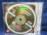 『CDV』　 プリンセス プリンセス / 19 GROWING UP 品番 24VH 2013　CD VIDEO/CDV対応機器のみ再生可
