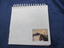 限局性激痛  ソフィ カル/SOPHIE CALLE
