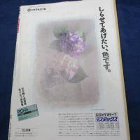 週刊 テレビライフ　 1989年5月19日号　表紙：浅野ゆう子