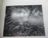 洋書/ポール・カポニグロ　写真集/Paul Caponigro/AN APERTURE MONOGRAPH
APERTURE
