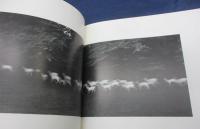 洋書　図録/ポール・カポニグロ　写真集/Paul Caponigro/LANDSCAPE