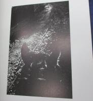 洋書/英文/ラルフ・ギブソン写真集/RALPH GIBSON/THE SOMNAMBULIST