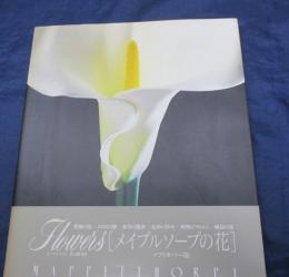 Flowers  メイプルソープの花