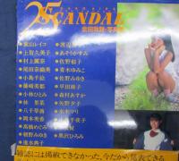 会田我路・写真集  25 scandal