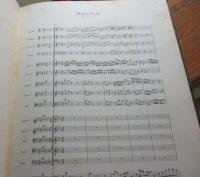 輸入楽譜/新　バッハ全集/オーケストラ譜/マニフィカト　BWV 243/124P/BACH/MAGNIFICAT/ベーレンライター・ハードカバー版　緑版　1955/大きさ縦約33cm×横約26cm/ALFRED DURR 編/