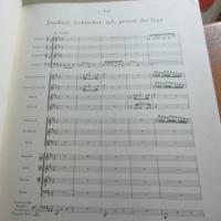 輸入楽譜/新　バッハ全集/オーケストラ譜/オラトリオ集　3冊セット/昇天祭オラトリオ BWV11/クリスマス・オラトリオBWV248/復活祭オラトリオ BWV249/ベーレンライター・ハードカバー版　緑版1960.1977.1978./大きさ縦約33cm×横約26cm