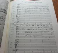 輸入楽譜/オーケストラ譜/新　バッハ全集/マタイ受難曲/BWV244/309P/ベーレンライター・ハードカバー版緑版　1972年版/ALFRED DURR 編/大きさ縦約33cm×横約26cm/
