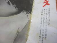 明星デラックス ヘアカタログ ’81 春号 松田聖子 河合奈保子 石川ひとみ /三原順子・松田聖子のページに切取2ページあり。