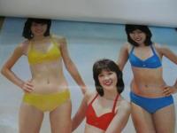 カレンダー/渡辺プロ　1977年スター・カレンダー/キャンディーズ・太田裕美・アン　ルイス・沢田研二他/大きさ　横約52ｃｍ×縦約73ｃｍ/破れ有