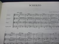 輸入楽譜/弦楽譜/シェーンベルク/スケルツォ　ヘ長調：弦楽四重奏のための/STRINGS QUARTET F MAJOR 1897/
/Belmont Music/8P/大きさ縦約30cm×横約23cm/

