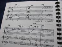 輸入楽譜/弦楽譜/シェーンベルク/弦楽四重奏曲第4番 作品37/FOURTH STRINGS QUARTET/
/G.Schirmer/107P/大きさ縦約28cm×横約22cm/