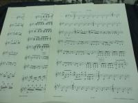 輸入楽譜/ギター譜/ビゼー/カルメン　ギター三重奏アレンジ版/パート譜3冊＋元譜1冊/
Bizet/carmen/RICORDI/Bertrand groger　編/大きさ縦約30cm×横約23cm/
