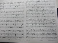 輸入楽譜/ギター譜/ビゼー/カルメン　ギター三重奏アレンジ版/パート譜3冊＋元譜1冊/
Bizet/carmen/RICORDI/Bertrand groger　編/大きさ縦約30cm×横約23cm/
