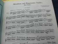 輸入楽譜/フルート譜/MELODIOUS and Progressive Studies for FLUTE/Robert Cavally 編/SOUTHERN MUSIC Co./1.2 2冊セット/大きさ縦約30cm×横約23cm/

