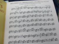 輸入楽譜/フルート譜/MELODIOUS and Progressive Studies for FLUTE/Robert Cavally 編/SOUTHERN MUSIC Co./1.2 2冊セット/大きさ縦約30cm×横約23cm/
