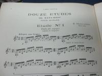輸入楽譜/ギター楽譜/ヴィラ・ロボス/12のエチュード/VILLA LOBOS/DOUZE ETUDES/MAX ESCHIG/39P
/大きさ縦約31cm×横約24cm/