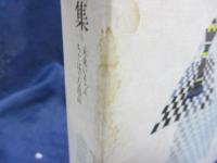 未来いそっぷ ; ちぐはぐな部品
