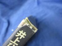 珍訳聖書