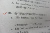 英文法詳説