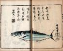 江戸流行料理通大全・乾坤