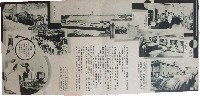 月桂冠　壜詰の栞
