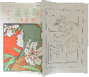 新家庭 明治45年6月号(4巻6号)