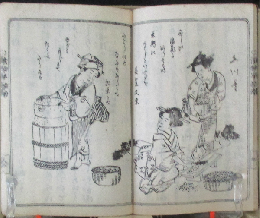 四季漬物早指南 初篇