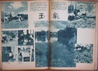 協和 271号