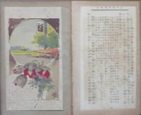 日本新漫遊案内
