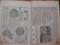 都の華 第13号