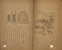子供の理科 虫とりの巻